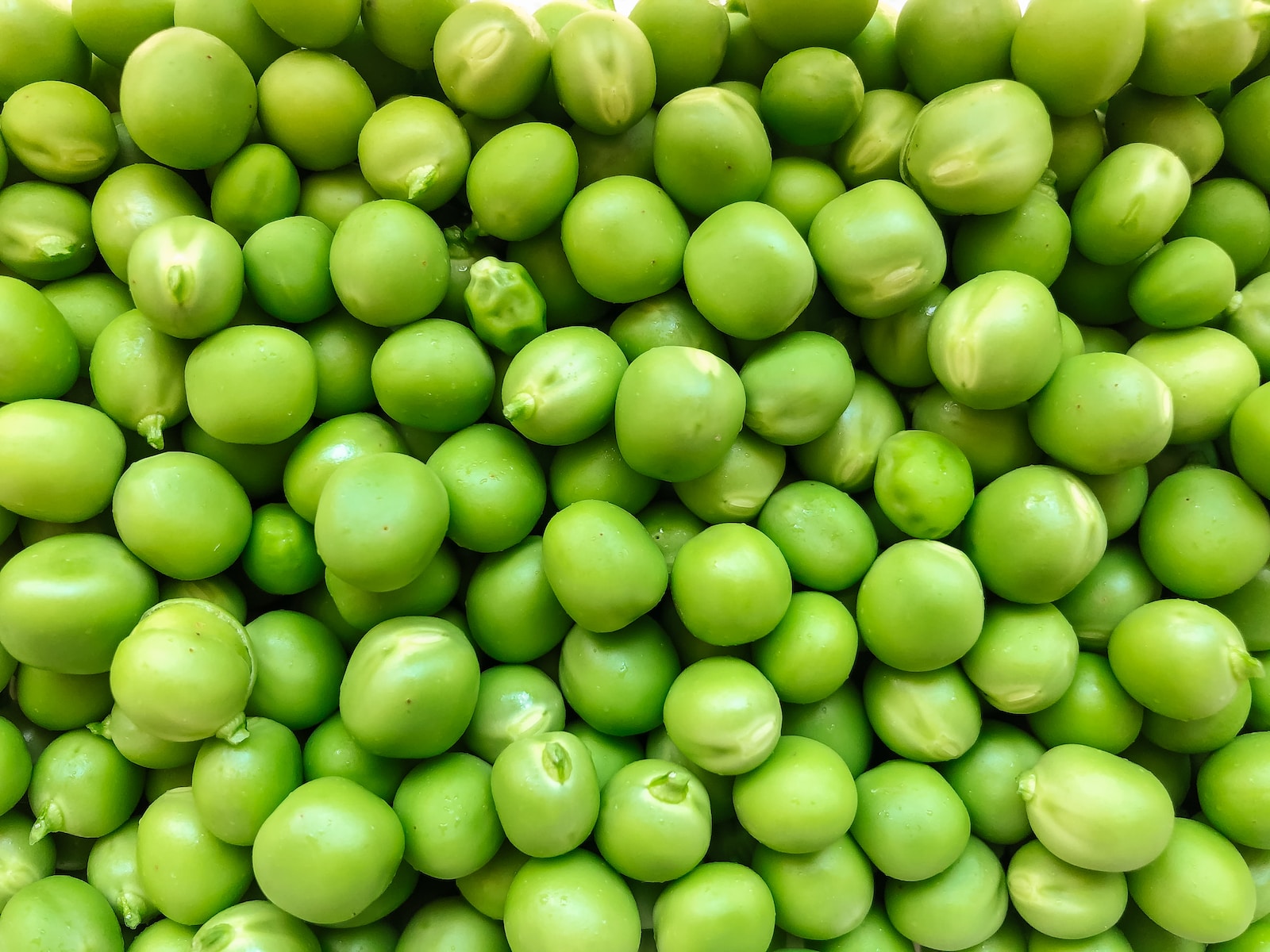 Guisantes - Reparto de verduras para hostelería en Oviedo